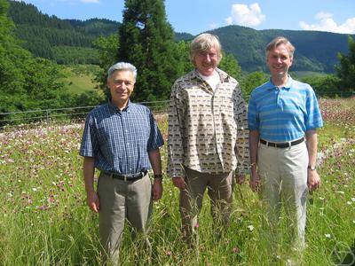 Yakov B. Pesin, Jörg Schmeling, Boris Hasselblatt