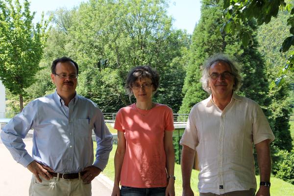 Misha Kapovich, Ursula Hamenstädt, Gérard Besson