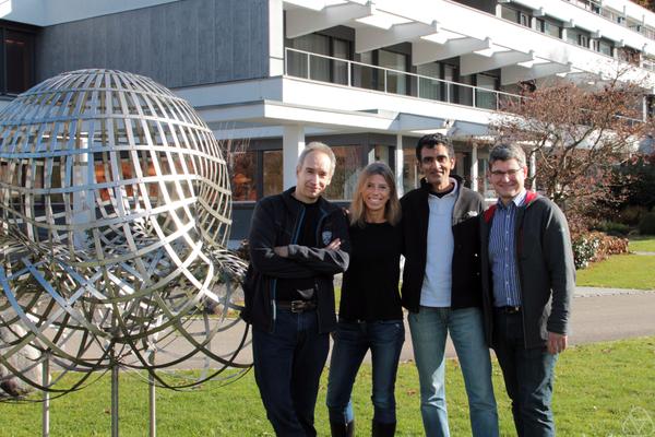 Alain Goriely, Andreas Menzel, Ellen Kuhl, Krishna Garikipati