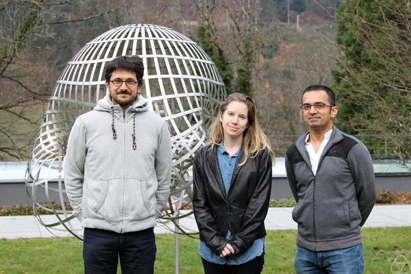 Simon Riche, Laura Rider, Pramod N. Achar