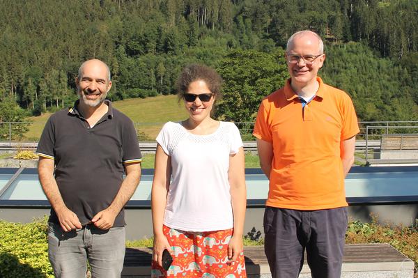 Mihalis Dafermos, Carla Cederbaum, Hans Ringström