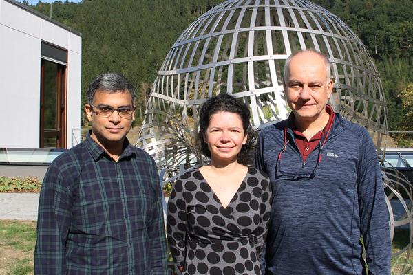 Krishna Hanumanthu, Alexandra Seceleanu, Tomasz Szemberg