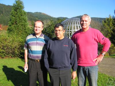 Christoph Schwab, Andro Mikelic, Cornelius J. van Duijn