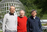 Tien-Cuong Dinh, George Marinescu, Xiaonan Ma